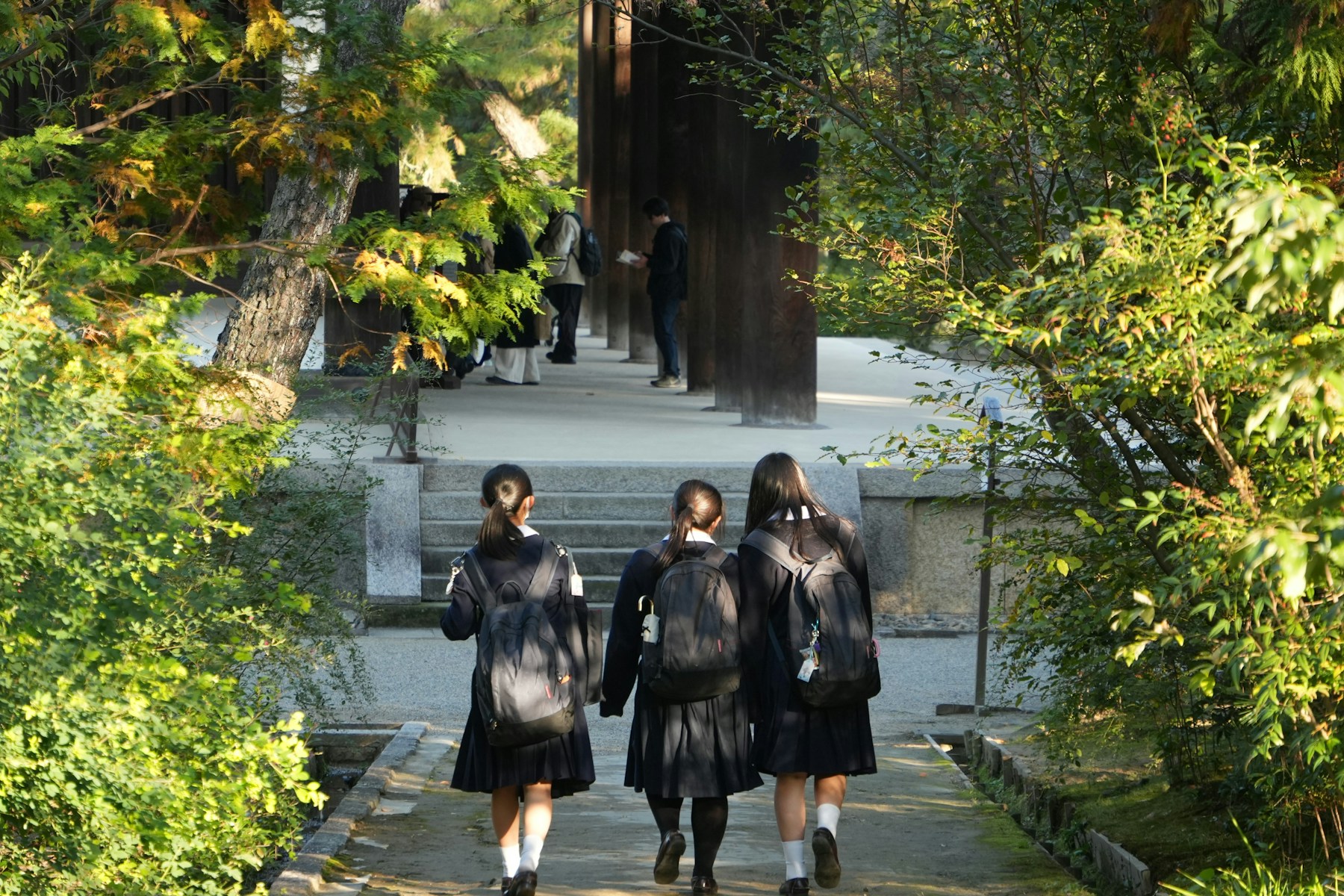 学生行走在大学校园中规划留学路径
